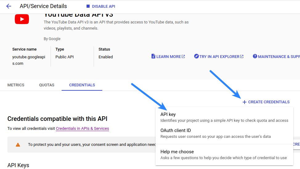 Create Credentials API Key